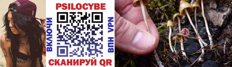 Галлюциногенные грибы MAGIC MUSHROOMS Купить Верея