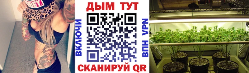 Купить где  Верея  Каннабис AK-47 
